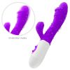 CR-simulation vibrator purple vibrator